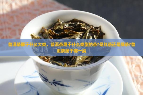 普洱茶属于什么大类 普洱茶属于什么大类