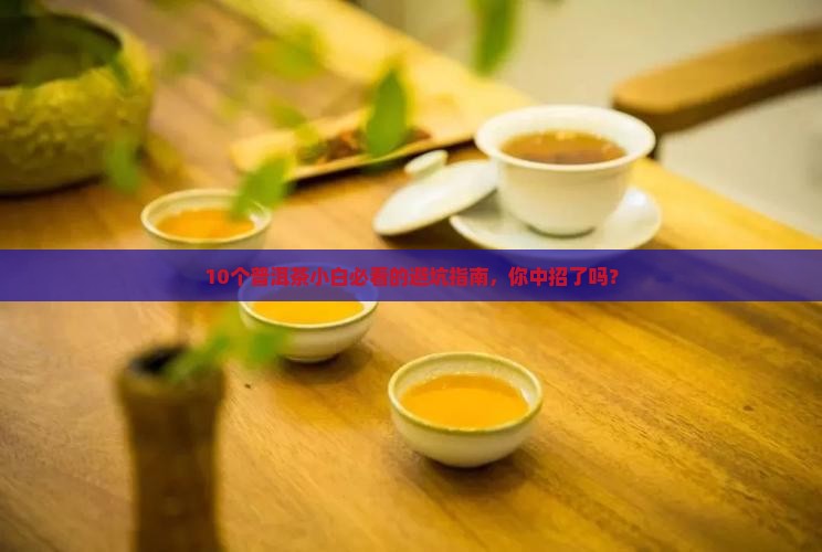 普洱茶指标体系