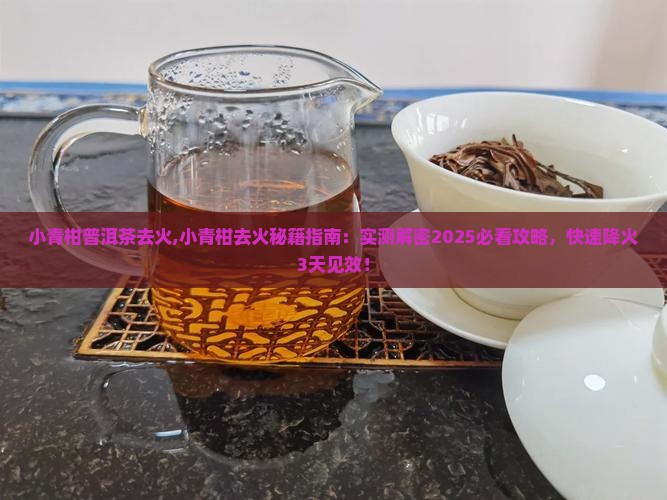 小青柑普洱茶去火