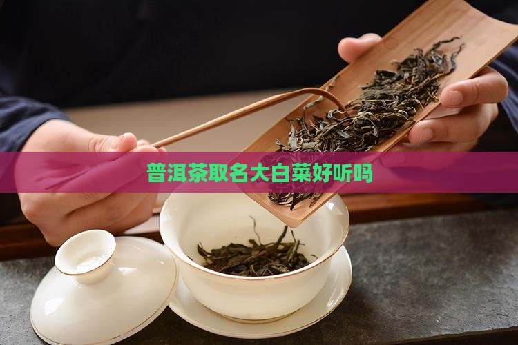 普洱茶取名大白菜好听吗