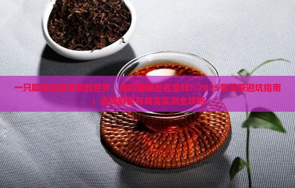 一只脚踏进普洱茶的世界