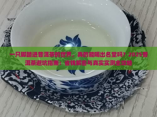 一只脚踏进普洱茶的世界