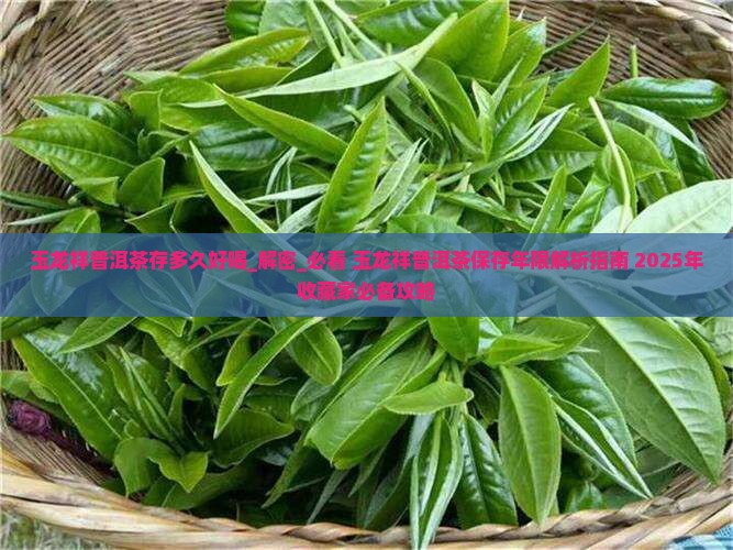 玉龙祥普洱茶存多久好喝