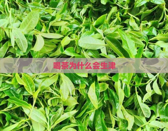 喝茶为什么会生津