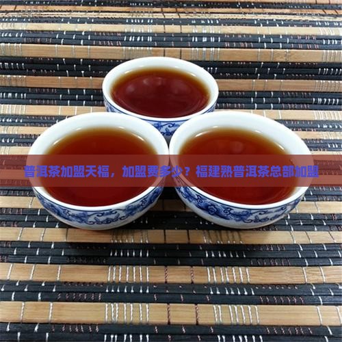 福建熟普洱茶总部加盟