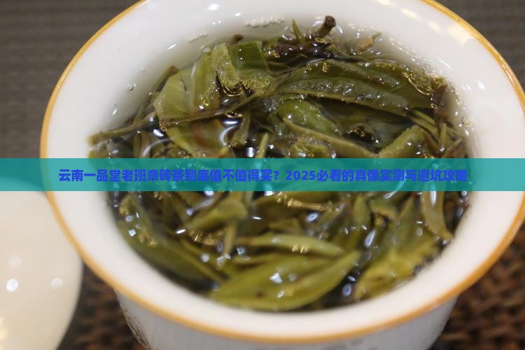 云南一品堂老班章砖茶