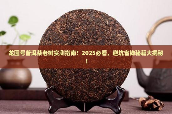 龙园号普洱茶老树