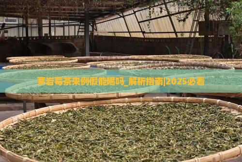 茅岩莓茶来例假能喝吗