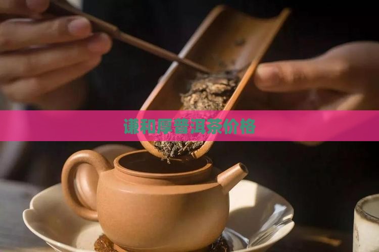 谦和厚普洱茶价格