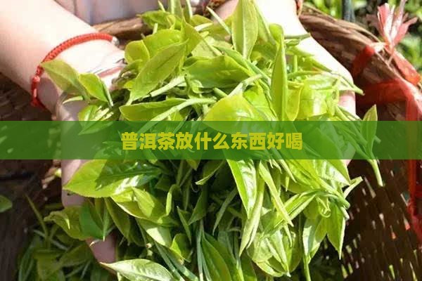 普洱茶放什么东西好喝