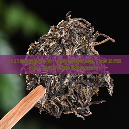勐海有些什么普洱茶