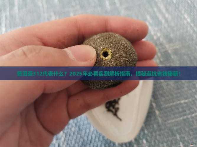 普洱茶312代表什么