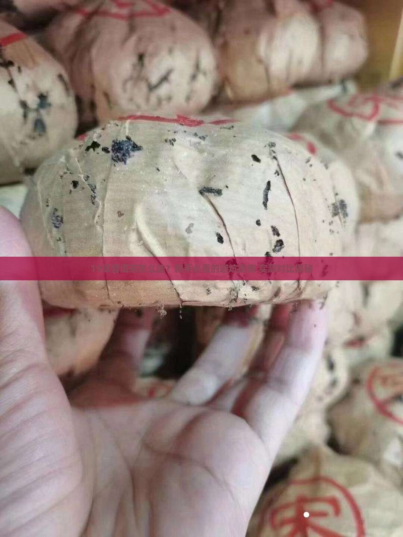 普洱茶19级哪个好一点