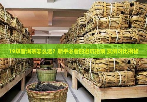 普洱茶19级哪个好一点