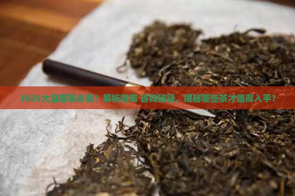 大益最适合购买藏的茶