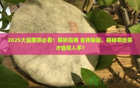 大益最适合购买藏的茶