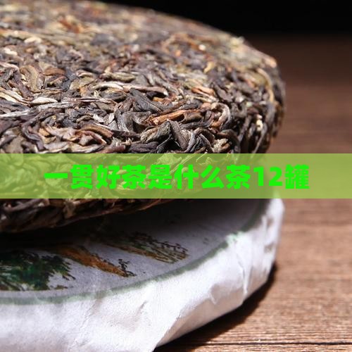 一贯好茶是什么茶12罐