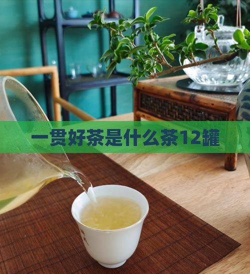一贯好茶是什么茶12罐