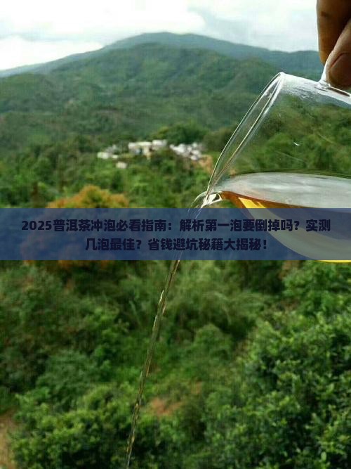 普洱茶浸泡要倒掉几泡