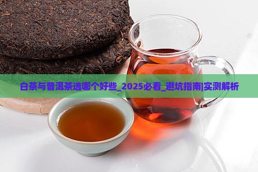 白茶与普洱茶选哪个好些