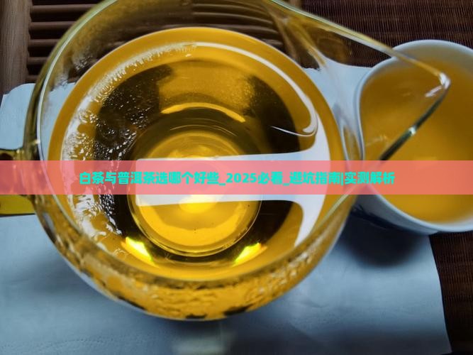白茶与普洱茶选哪个好些