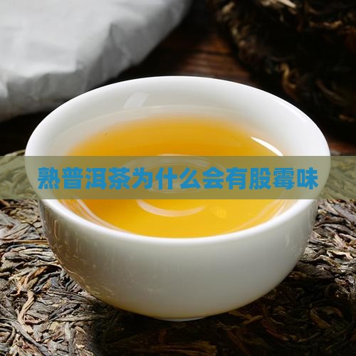 熟普洱茶为什么会有股霉味