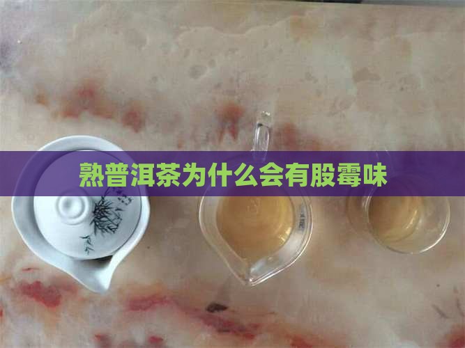 熟普洱茶为什么会有股霉味