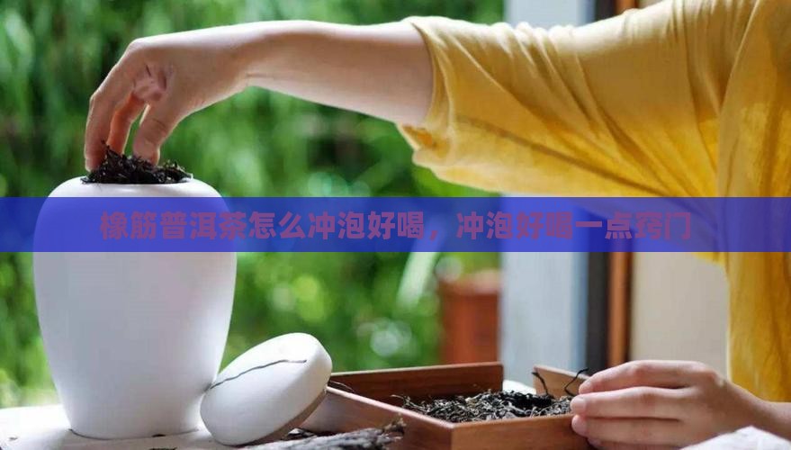 橡筋普洱茶怎么冲泡好喝