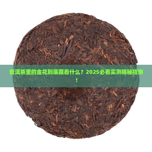 普洱茶里的金花是什么