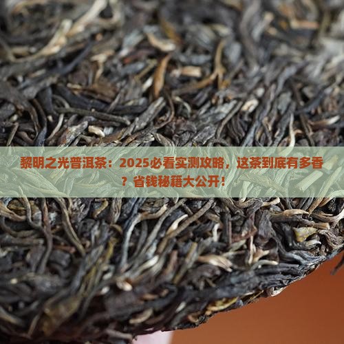 黎明之光普洱茶