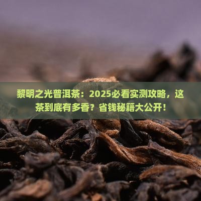 黎明之光普洱茶