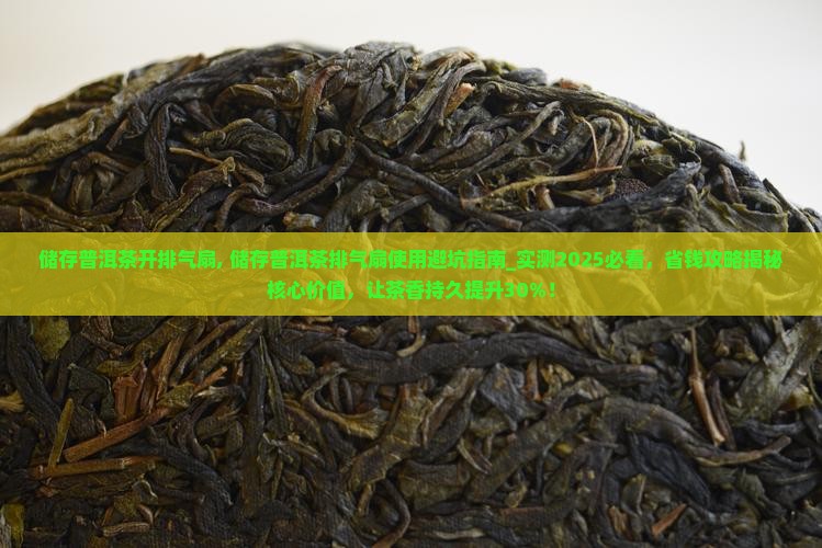 储存普洱茶开排气扇