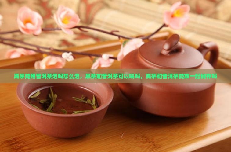 黑茶能用普洱茶泡吗怎么泡