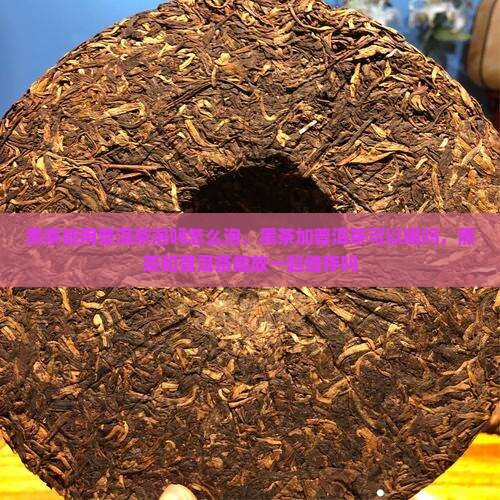 黑茶能用普洱茶泡吗怎么泡