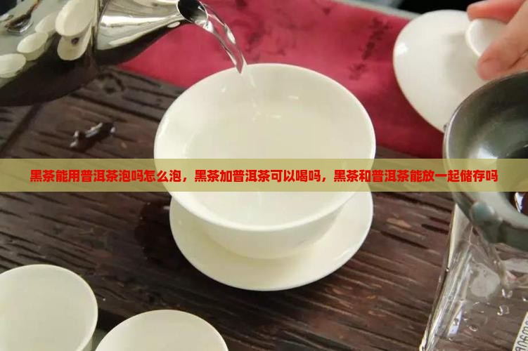 黑茶能用普洱茶泡吗怎么泡