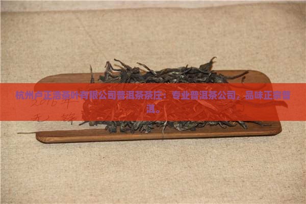 卢正浩云南普洱茶