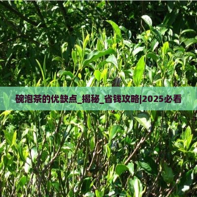 碗泡茶的优缺点