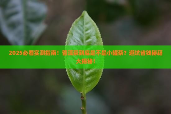 普洱茶是不是小罐茶