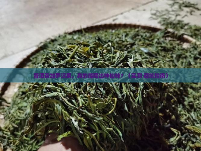 普洱茶与罗汉果泡茶