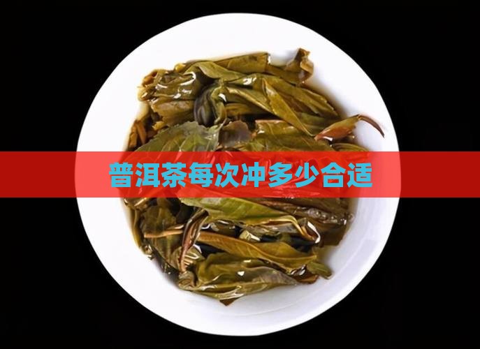 普洱茶每次冲多少合适