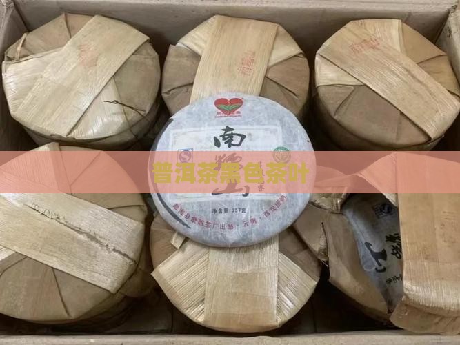 普洱茶黑色茶叶