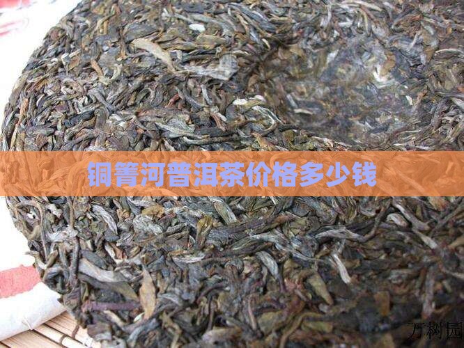 铜箐河普洱茶价格多少钱