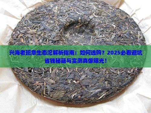 兴海老班章生态沱