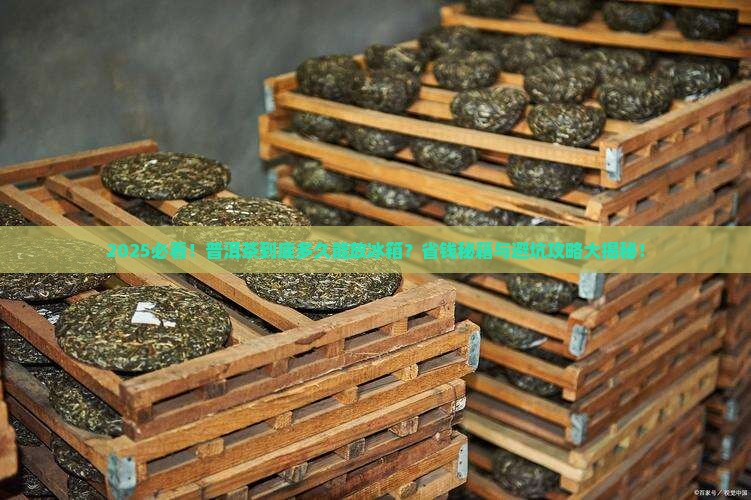 普洱茶需要多久可以放冰箱