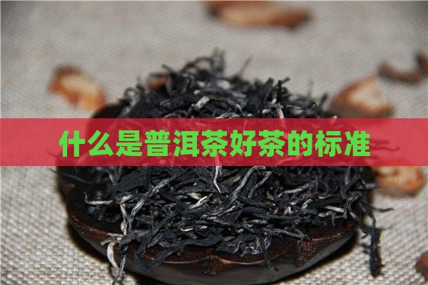 什么是普洱茶好茶的标准