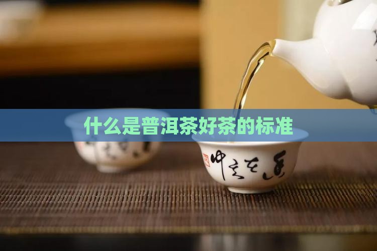 什么是普洱茶好茶的标准