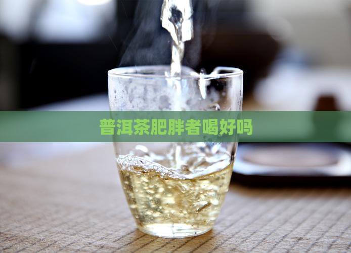 普洱茶肥胖者喝好吗