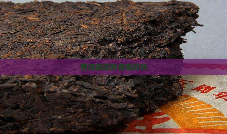 普洱茶肥胖者喝好吗
