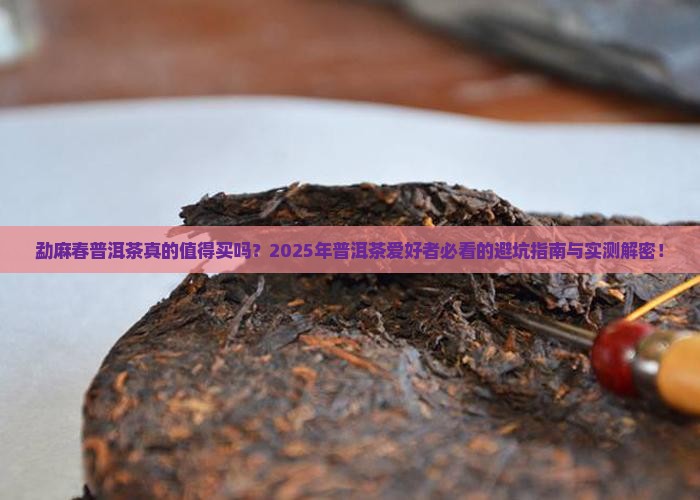 勐麻春普洱茶怎么样