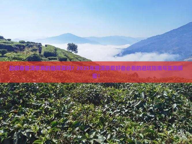 勐麻春普洱茶怎么样
